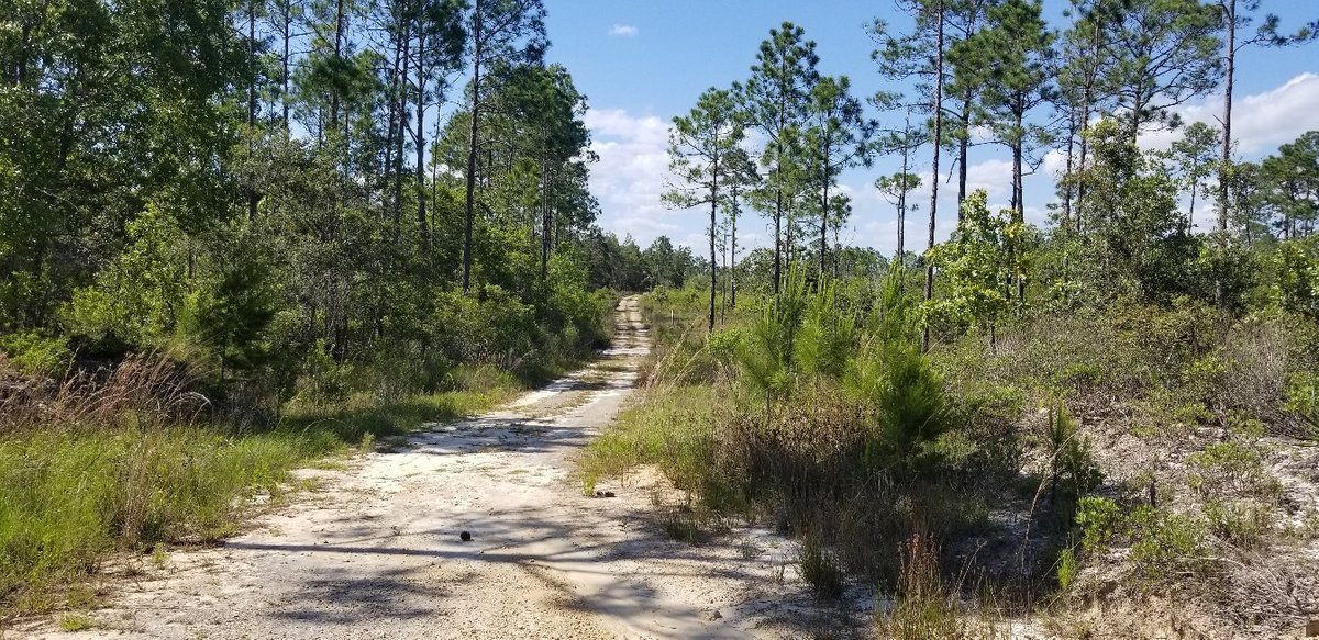 Watersound Trail (Panama City Beach) - All You Need to Know BEFORE You Go