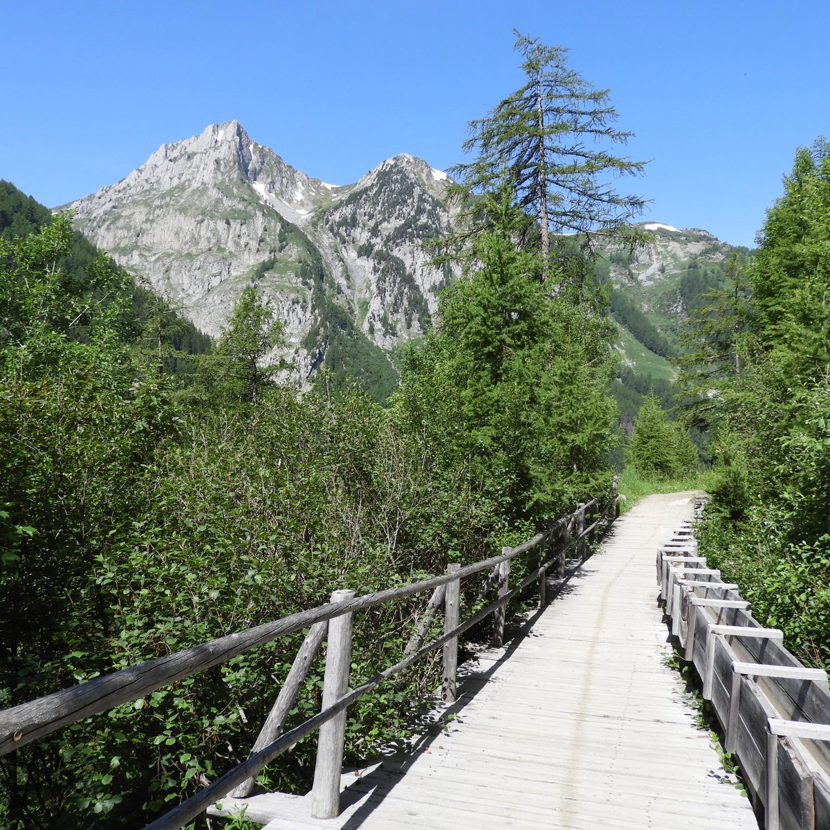 SENTIER DU BISSE DU GLACIER DU TRIENT 2022 What to Know BEFORE You Go