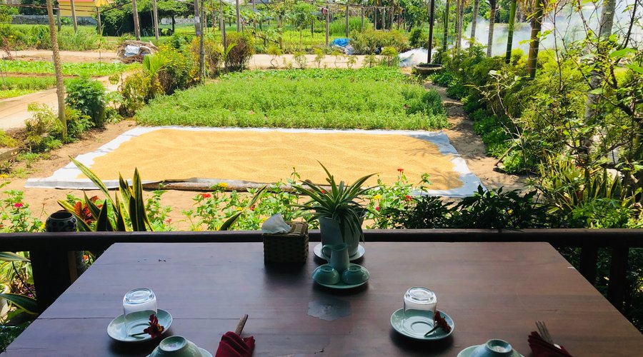 We are located in the middle of the organic vegetable village.