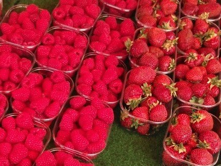 2019/07　あざやかな赤 Red! red! Red!  all fresh!  　