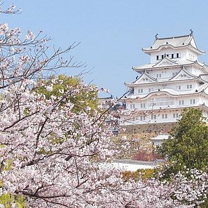 21年 姫路市で絶対外さないおすすめ観光スポットトップ10 定番から穴場まで トリップアドバイザー 21年 姫路市で絶対外さないおすすめ観光スポットトップ10 定番から穴場まで トリップアドバイザー