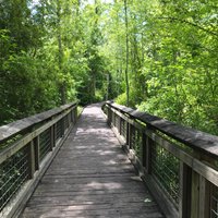 Lee State Park (Bishopville) - All You Need to Know BEFORE You Go