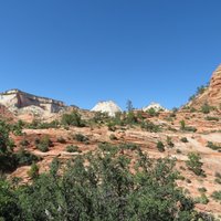 Zion-Mt. Carmel Highway (Zion National Park) - All You Need to Know ...