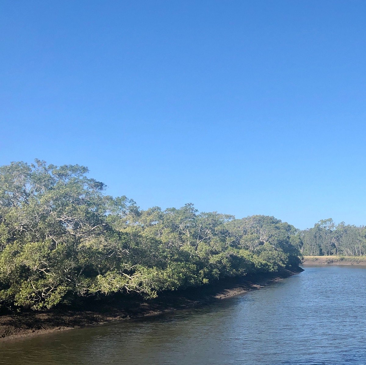 TINGALPA CREEK RESERVE (Brisbane) All You Need to Know BEFORE You Go