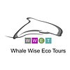 whale wise eco tours rezensionen