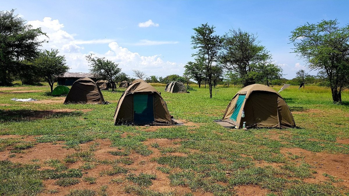 NGUCHIRO PUBLIC CAMPSITE: Reviews (Serengeti National Park, Tanzania ...