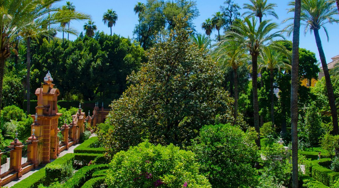 Alcázar (Sevilla) Lohnt es sich? Aktuell für 2025 (Mit fotos)