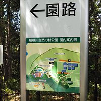 ここから約3百段の階段を降り、河原へ向かいます。