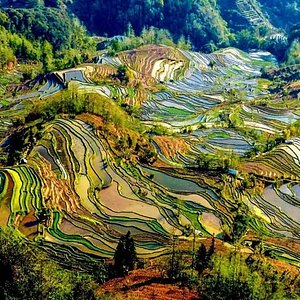 昆明到建水和元陽哈尼梯田的三日私人遊