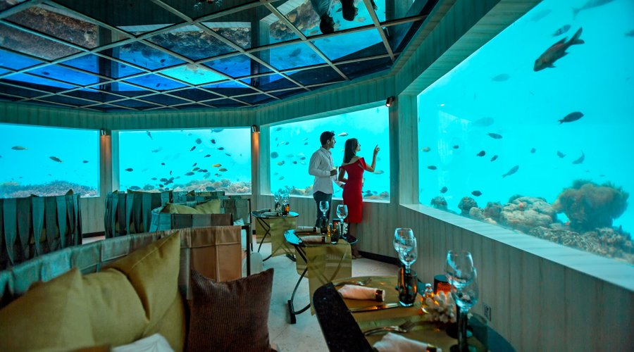 Our exclusive underwater restaurant is without a doubt the jewel in the crown of the fine dining experiences at OZEN. Open for lunch and dinner.