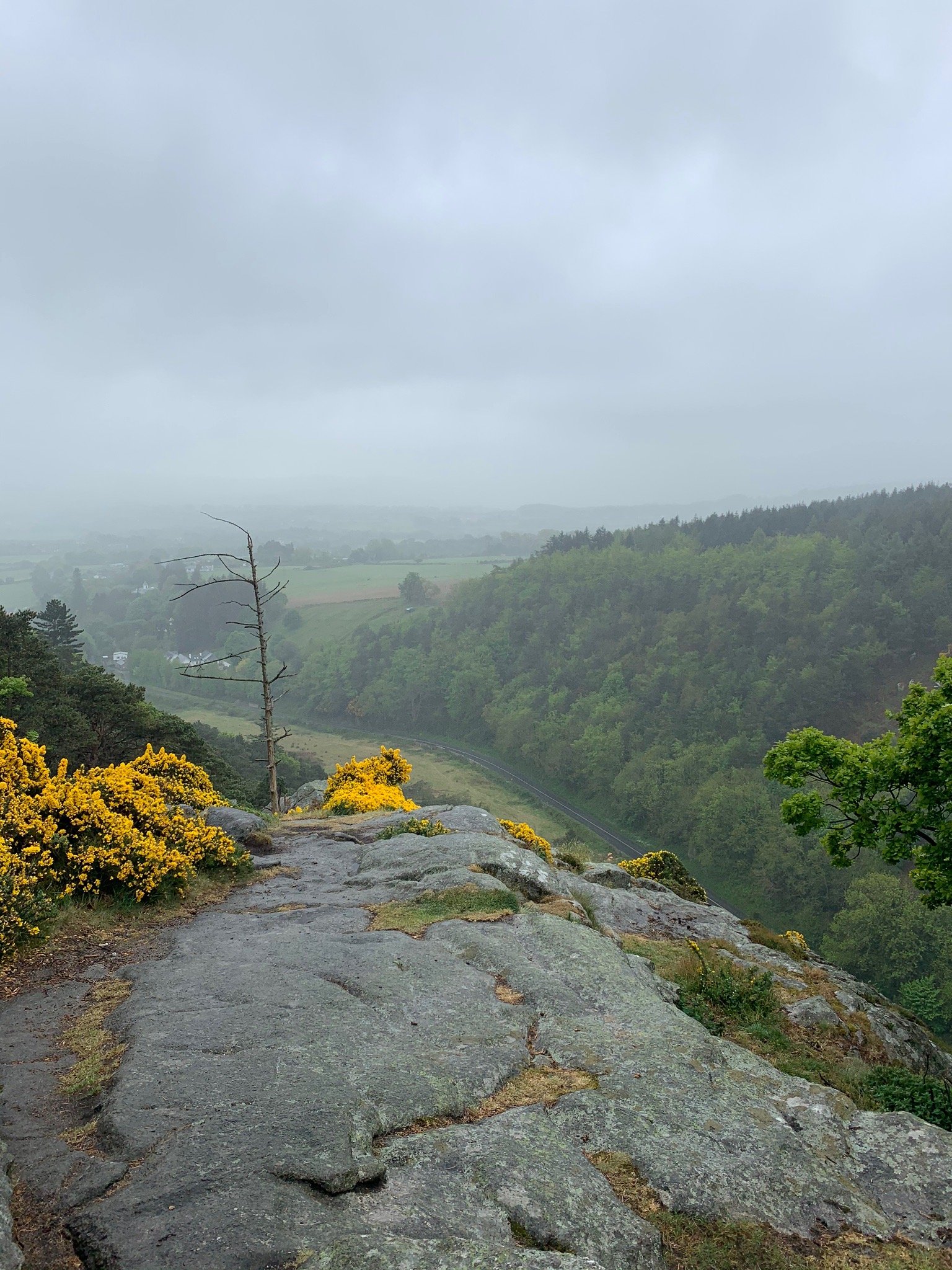 The Scalp, Enniskerry, Enniskerry Road, Wicklow, mounted, online unframed