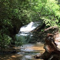 Sea Creek Falls (Suches) - All You Need to Know BEFORE You Go