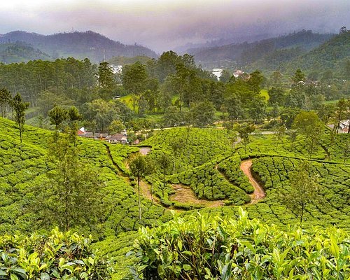 places to visit near munnar bus stand