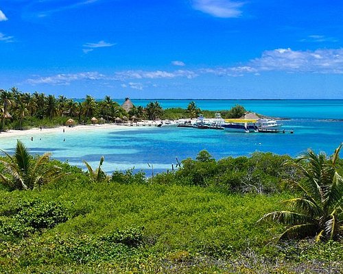 isla contoy tour from isla mujeres