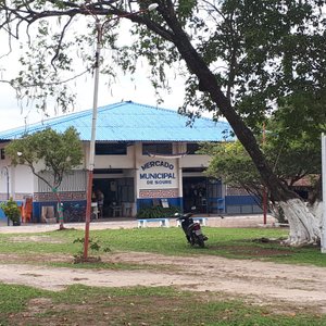 O Mundo Místico Dos Caruanas Da Ilha de Marajó