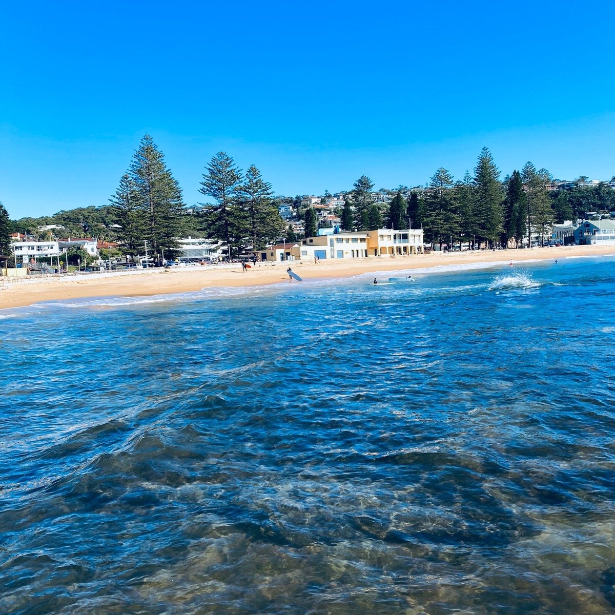 Collaroy Beach - All You Need to Know BEFORE You Go (2024)