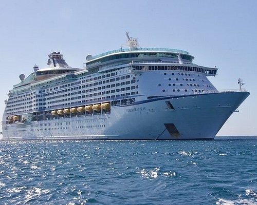 essex luxury sea tours game