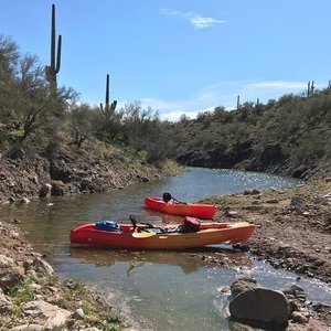 Lake Pleasant Regional Park Fishing