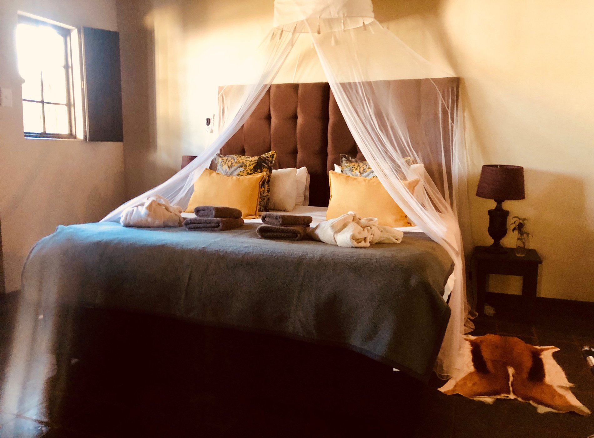 Addo African Home, Restaurant & Safari by null