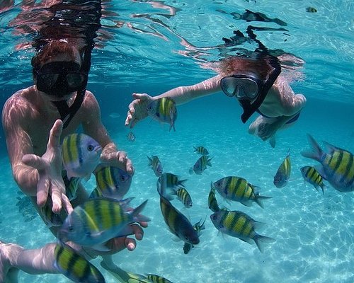 costa maya tours cruise passengers
