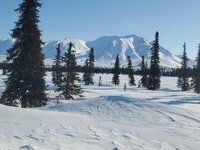 Aurora Winter Train - Day Tours (Anchorage) - All You Need to Know ...