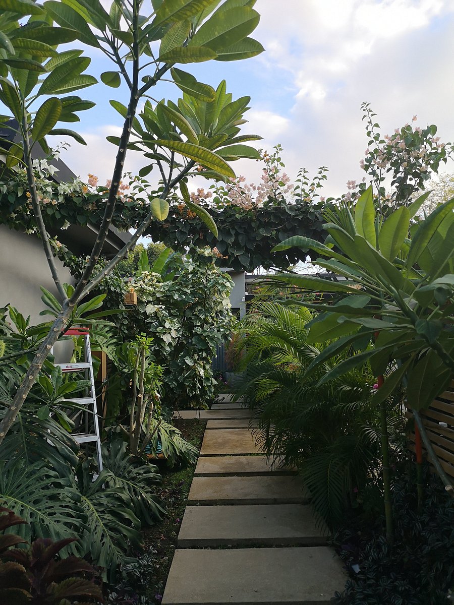 Zen Garden Tamarindo Prices Lodging Reviews Playa Langosta Costa Rica Tripadvisor