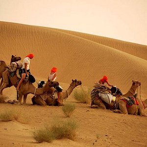 Sand Dunes in Rajasthan