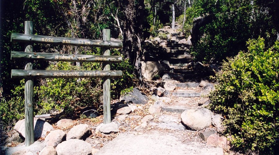 Great walking tracks in Bowen