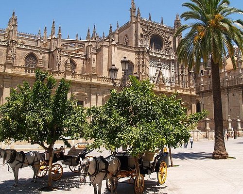 Seville, Free Walking Tour & Activities