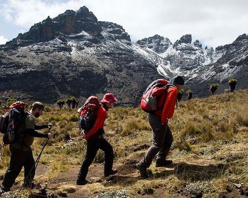 THE 10 BEST Mount Kenya National Park Hiking & Camping Tours