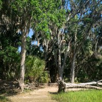 Skidaway Island State Park (Savannah) - All You Need to Know BEFORE You Go