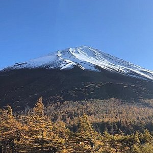 21年 御殿場市で絶対外さないおすすめ観光スポットトップ10 定番から穴場まで トリップアドバイザー 21年 御殿場市で絶対外さないおすすめ観光スポットトップ10 定番から穴場まで トリップアドバイザー