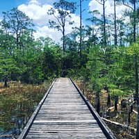 Apoxee Wilderness Trail (West Palm Beach) - All You Need to Know BEFORE ...