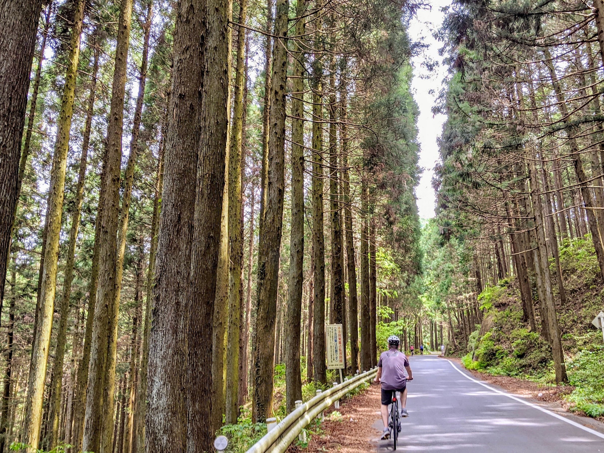 bike tour japan reviews