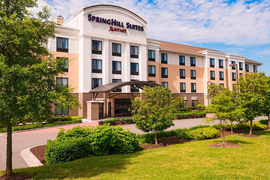Speed dating city in virginia Speed dating city in virginia