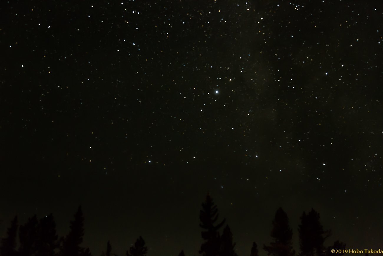 Castle Mountain Campground by null