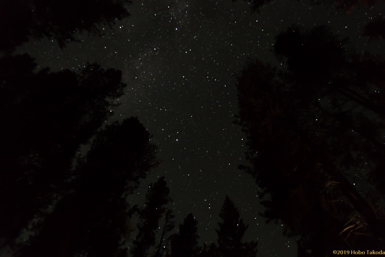 Castle Mountain Campground by null