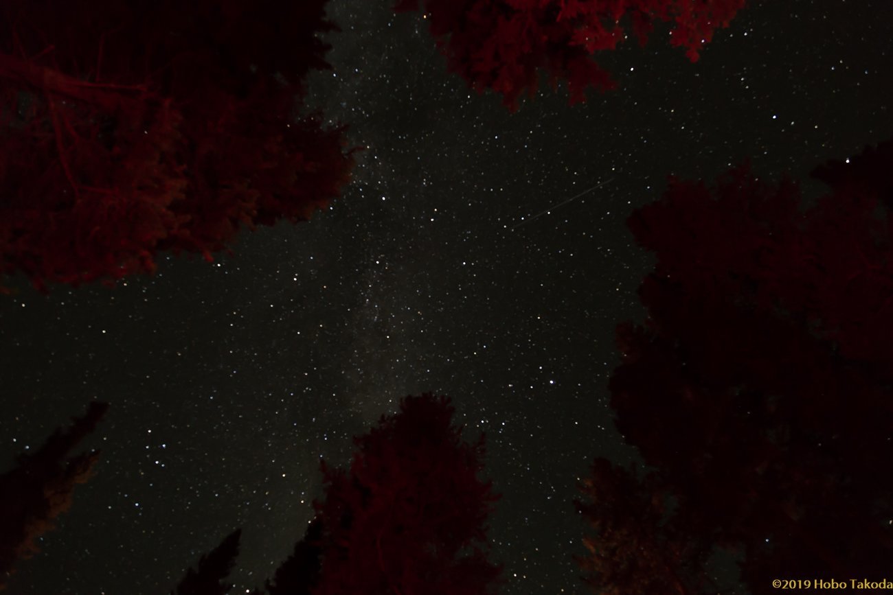 Castle Mountain Campground by null