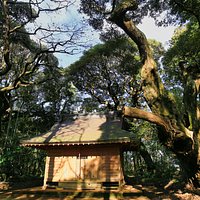 天神社:巨木に囲まれた天神社