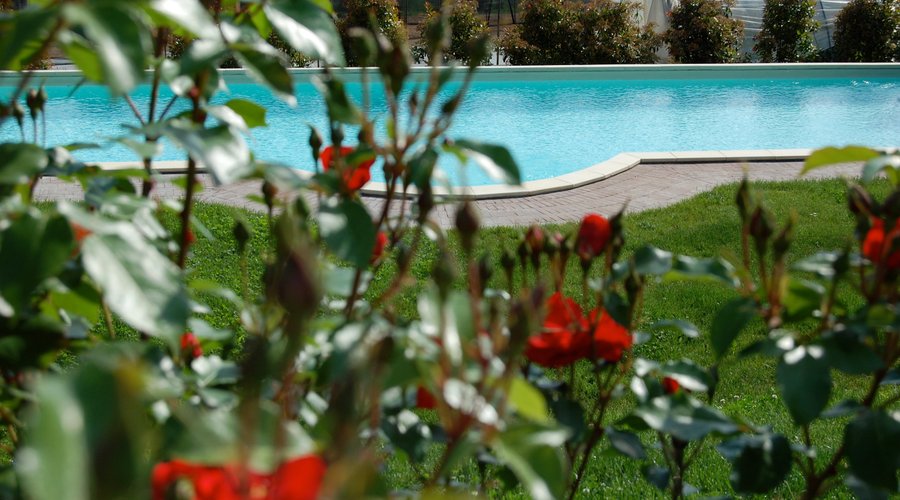 Accoglienza gratuita e in sicurezza nella piscina della proprietà