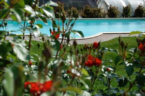 Le Serre Suites & Apartments in Moncalieri, image may contain: Resort, Hotel, Garden, Pool