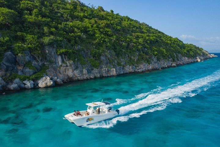 Island Roots Charters All You Need to Know BEFORE You Go 2024