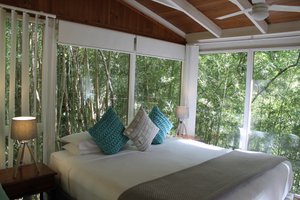 Kondalilla Eco Resort in Flaxton, image may contain: Resort, Hotel, Cushion, Bed