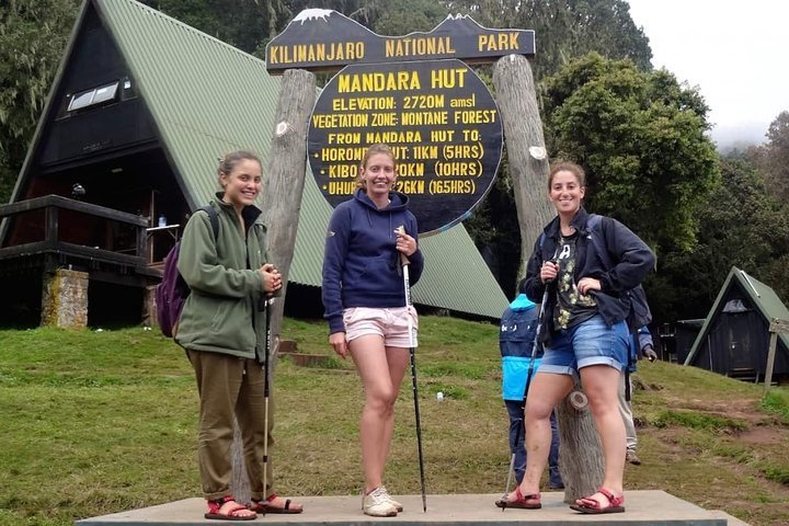 Mount kilimanjaro 2025 day hike