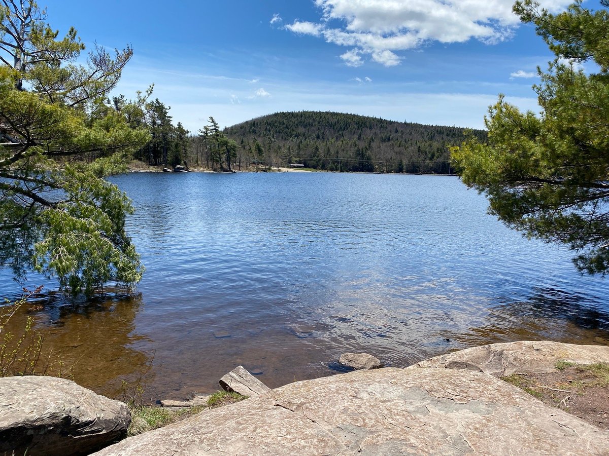 GETAWAY EASTERN CATSKILLS - Updated 2023 Campground Reviews (Catskill  Region, NY)