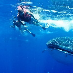 Isla Blanca, Cancún, Mexico