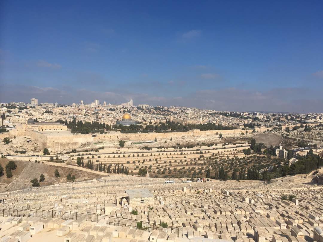 DAVID RINGLER - GUIDING IN ISRAEL - TOURS (Jerusalem) - All You Need to ...