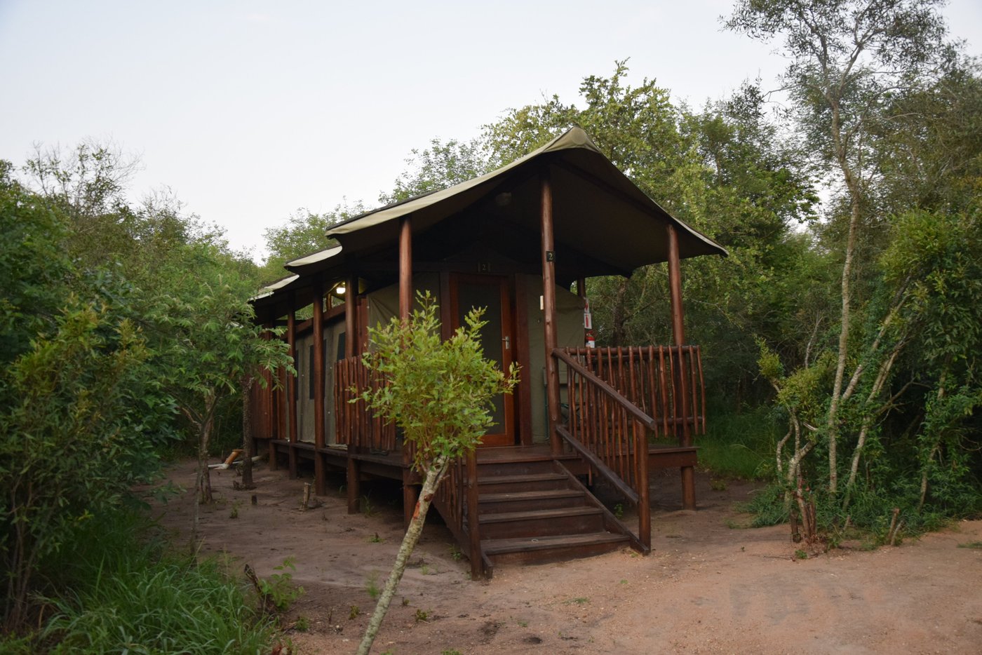 SHALATI MANYALETI - Lodge Reviews (South Africa/Manyeleti Game Reserve)