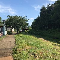 緑が綺麗な場所です。