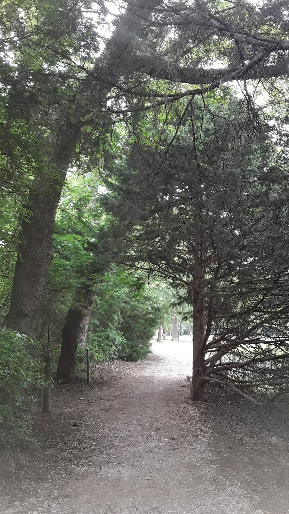 are dogs allowed at bear creek nature trail